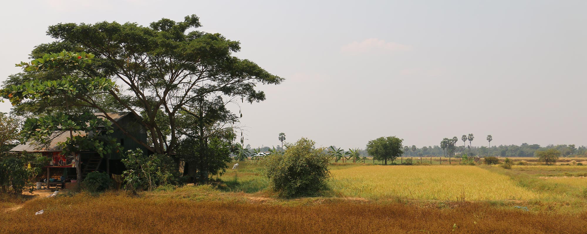 Explore Battambang Countryside